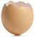 Egg shell