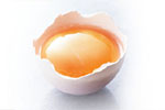 Egg yolk