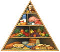 food pyramid