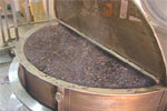 Ganoderma extraction