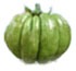 Garcinia cambogia